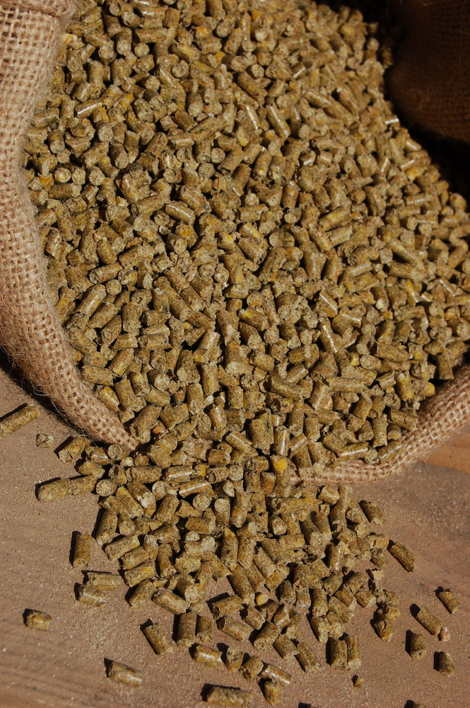 Aliment Démarrage (50kg)